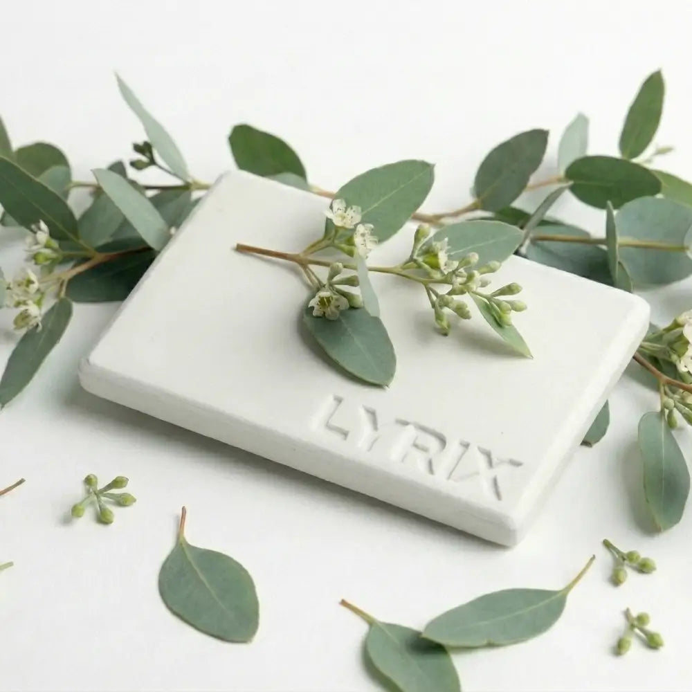 aromatizador de piedra para auto blanco Lyrix – fragancia Eucalipto